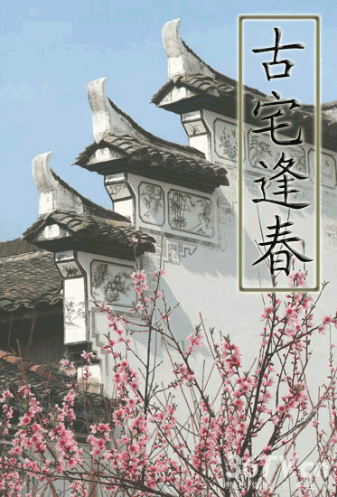 1634213576191650.png tp01.png