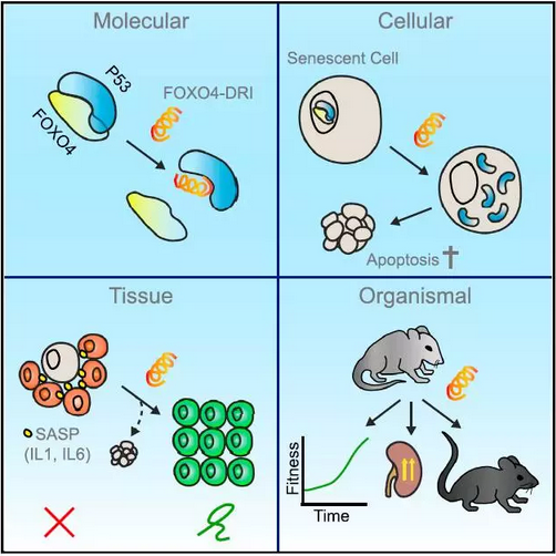 1641047575730016.png 20170331165434403440.png