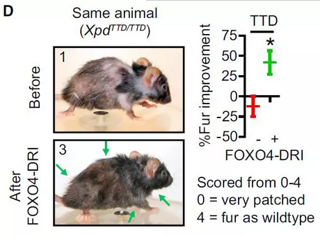 1641047611182197.png 20170331165519821982.png