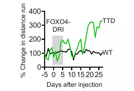 1641047666145223.png 20170331165568026802.png