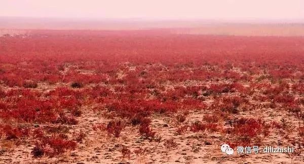 1664526338191716.jpg 9306.jpg