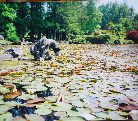 1667655937135936.jpg 1105.jpg