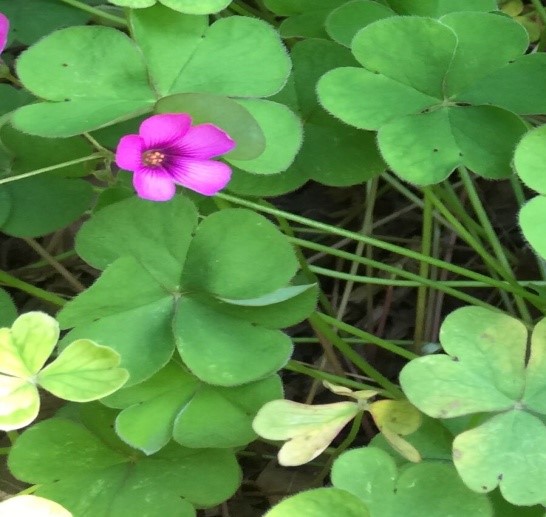 1688141557158862.jpg 333.jpg