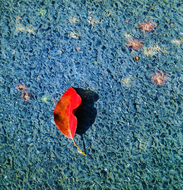 1688141913170916.jpg 1688141913170916.jpg