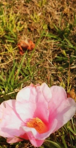 1688142200115394.jpg 1688142200115394.jpg