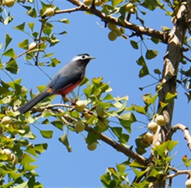 1688142488957637.jpg 1688142488957637.jpg