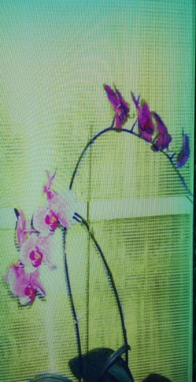 1688142634164979.jpg 333.jpg