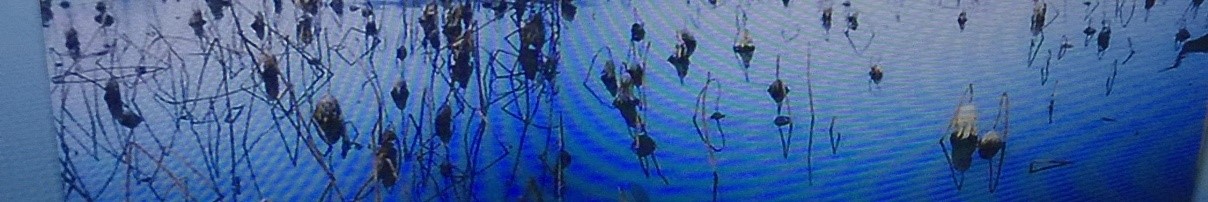 1688256628340934.jpg 1688256628340934.jpg