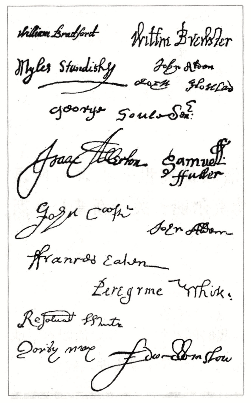 1699779384148805.png 1699779384148805.png