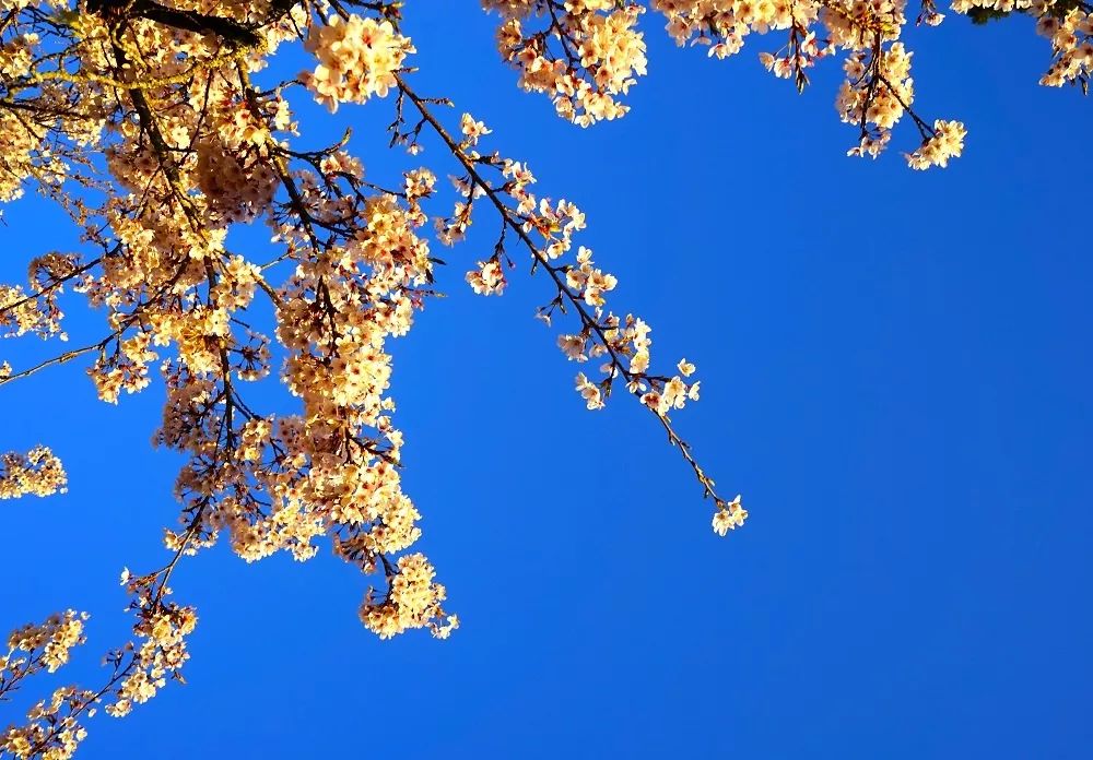 1707182322184291.jpg 1707182322184291.jpg