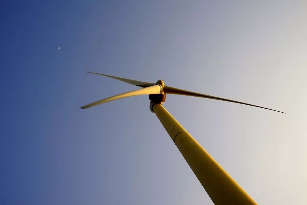 1707182338497741.jpg 1707182338497741.jpg