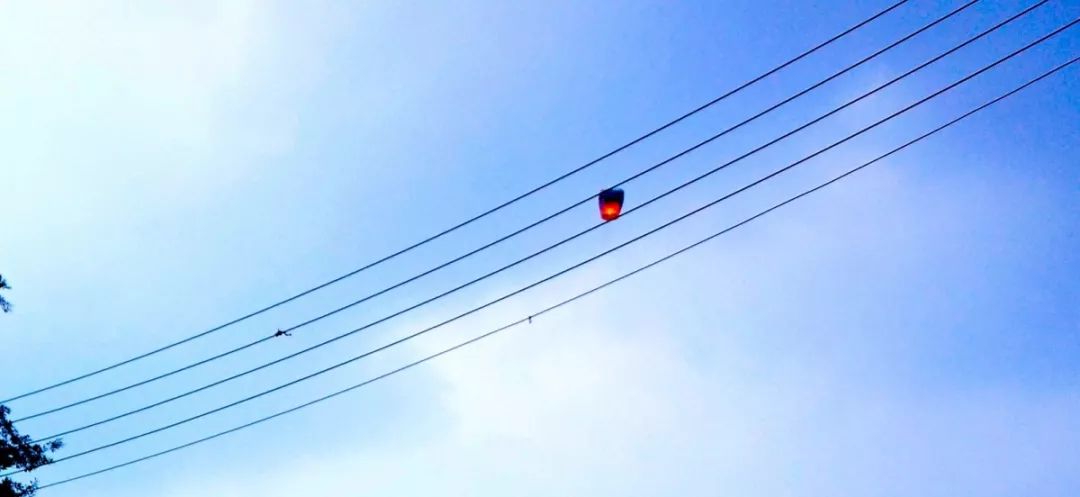 1707182358108621.jpg 1707182358108621.jpg