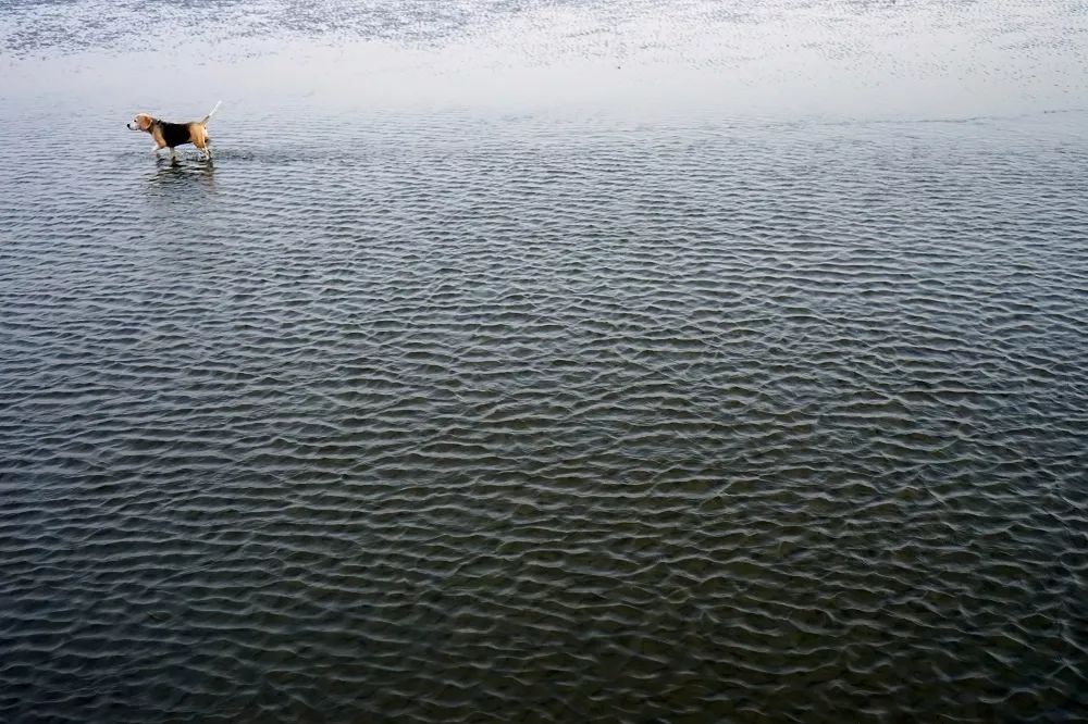 1707182374152381.jpg 1707182374152381.jpg