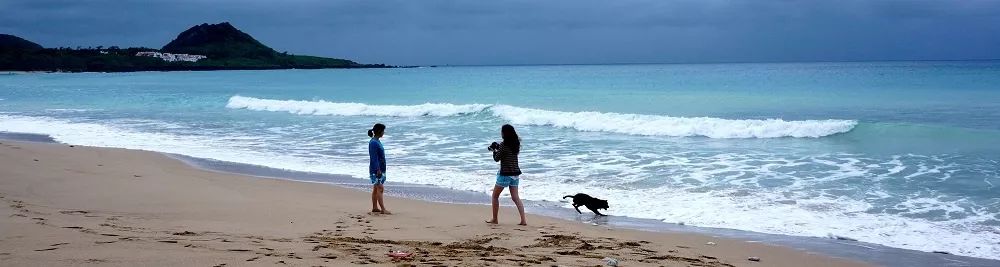 1707182390810262.jpg 1707182390810262.jpg